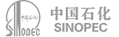 b1